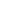 Expert writers
