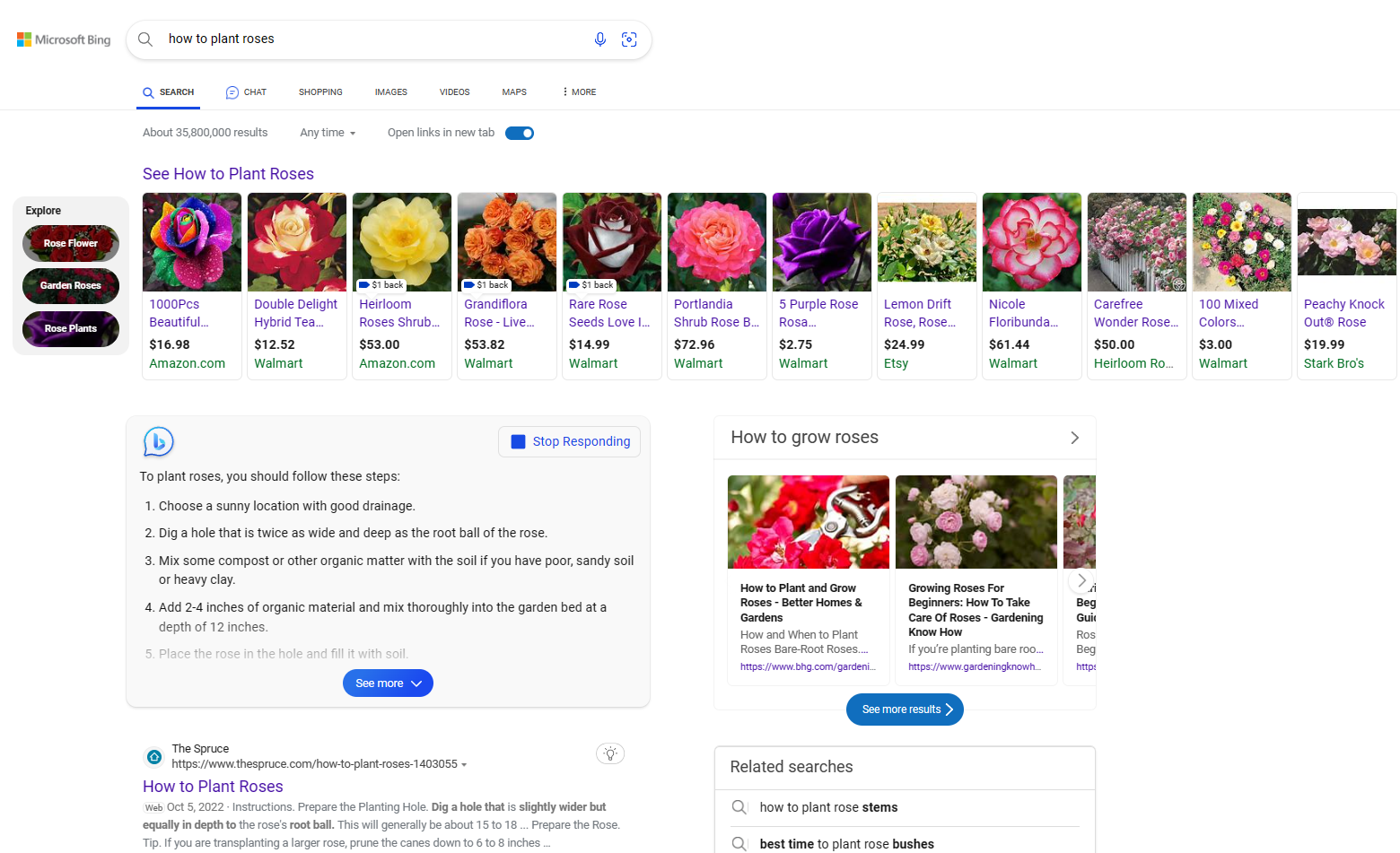 bing ai search result for how to plant roses