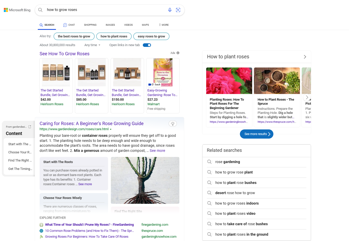 bing search result for how to grow roses